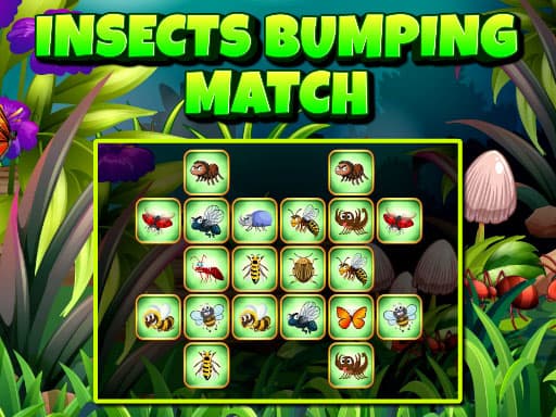 Insects Bumping Match thumbnail