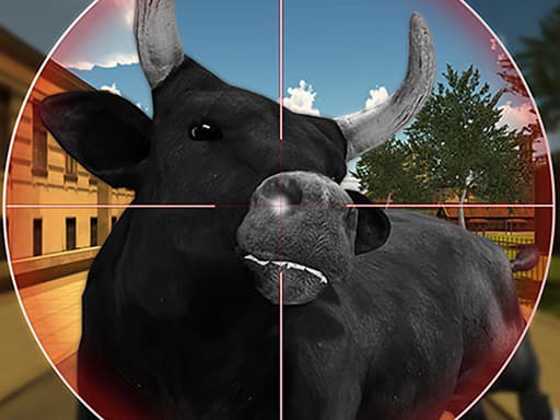 Bull Shooting cover