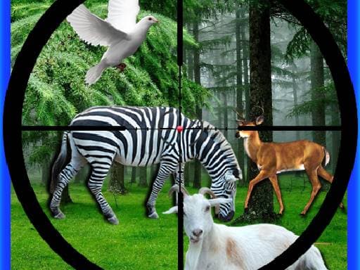 Real Jungle Animals Hunting thumbnail